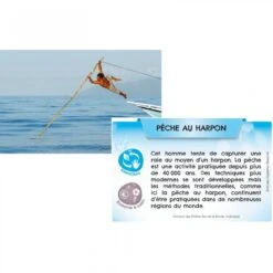 Bioviva Planète - Mers Et Océans -Point De Jouet bioviva planete mers et oceans 3