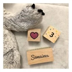 Cubes En Bois Naissance - Bienvenue Bébé -Point De Jouet cubes en bois naissance fraise et bois camille 01 2