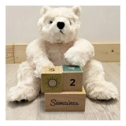 Cubes En Bois Naissance - Bienvenue Bébé -Point De Jouet cubes en bois naissance fraise et bois camille 01 3