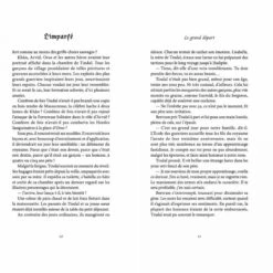 L'imparfé - Tome 1 - Le Royaume Qui Perdait Ses Couleurs - 9 Ans -Point De Jouet l imparfe le royaume qui perdait ses couleurs gulfstream editeur 3