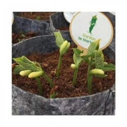 Kit De L'Apprenti Jardinier -Point De Jouet le kit de l apprenti jardinier les petits radis 4