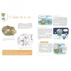 Les Fossiles Ont La Vie Dure ! - 9 - 12 Ans -Point De Jouet les fossiles ont la vie dure gulfstream editeur 2