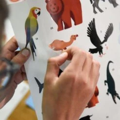 Poster Découverte En Stickers Poppik - Animaux Du Monde -Point De Jouet poppik stickers animaux du monde dis003 8